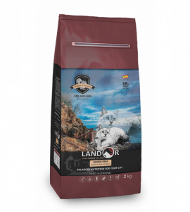 GRAIN-FREE turkey batat-570x633